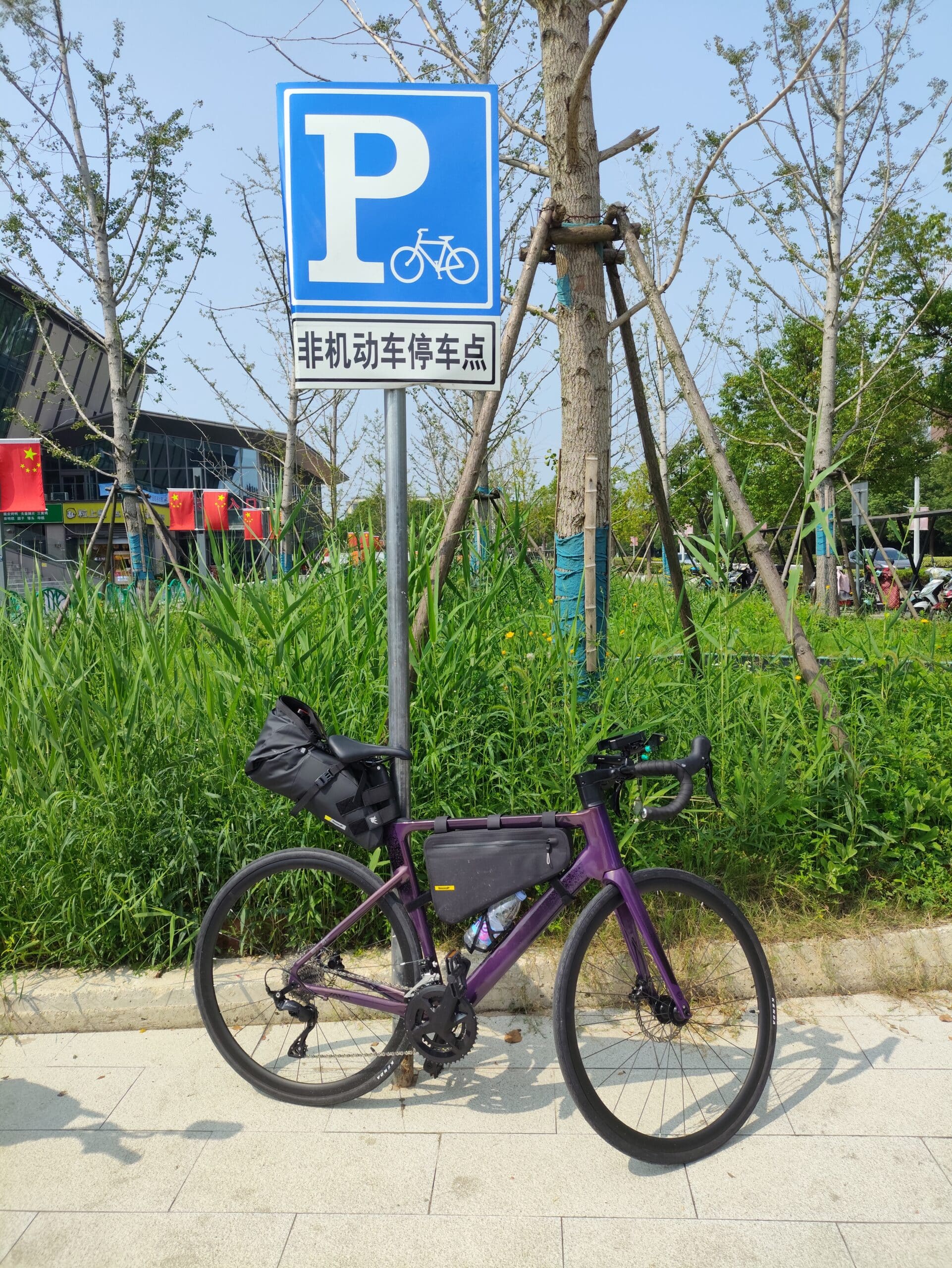 Chongming – Die Grüne Insel mit Großstadtformat